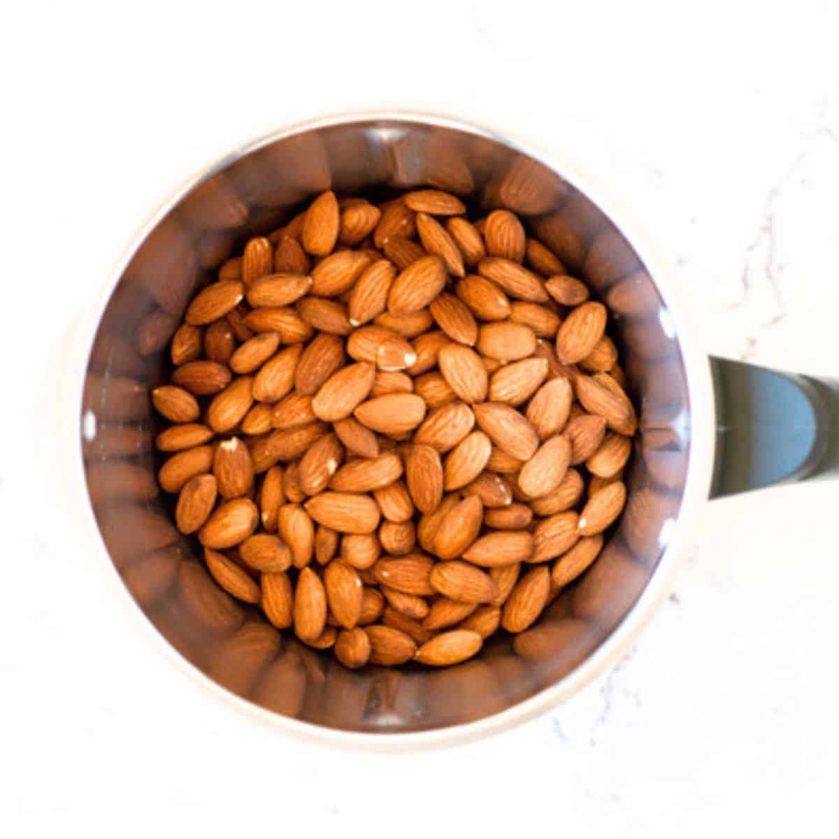 Image of almonds in a Thermomix Bowl.