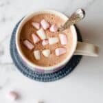 Hot Chocolate made in the Thermomix.