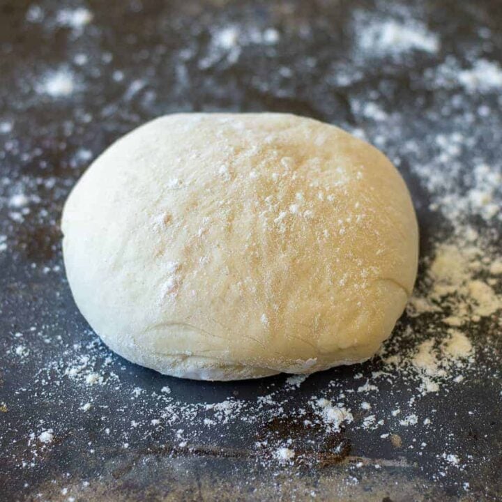 Thermomix Pizza Dough Recipe