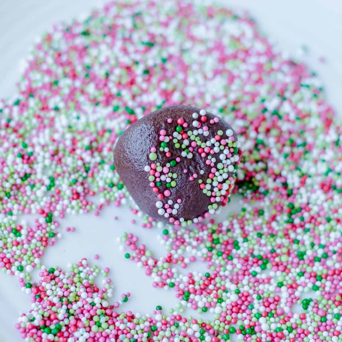Chocolate cookie dough ball dipped in sprinkles.