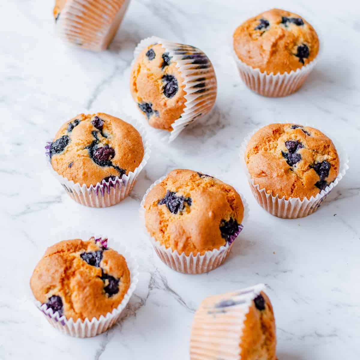 blueberry muffins on white background