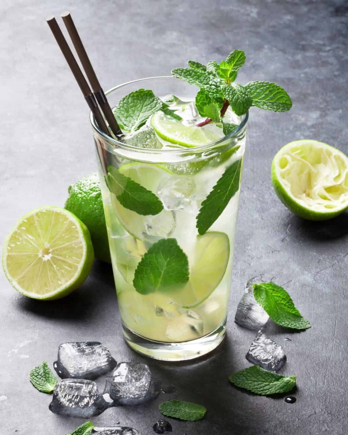 Mojito cocktail in a tall glass with mint and lime.