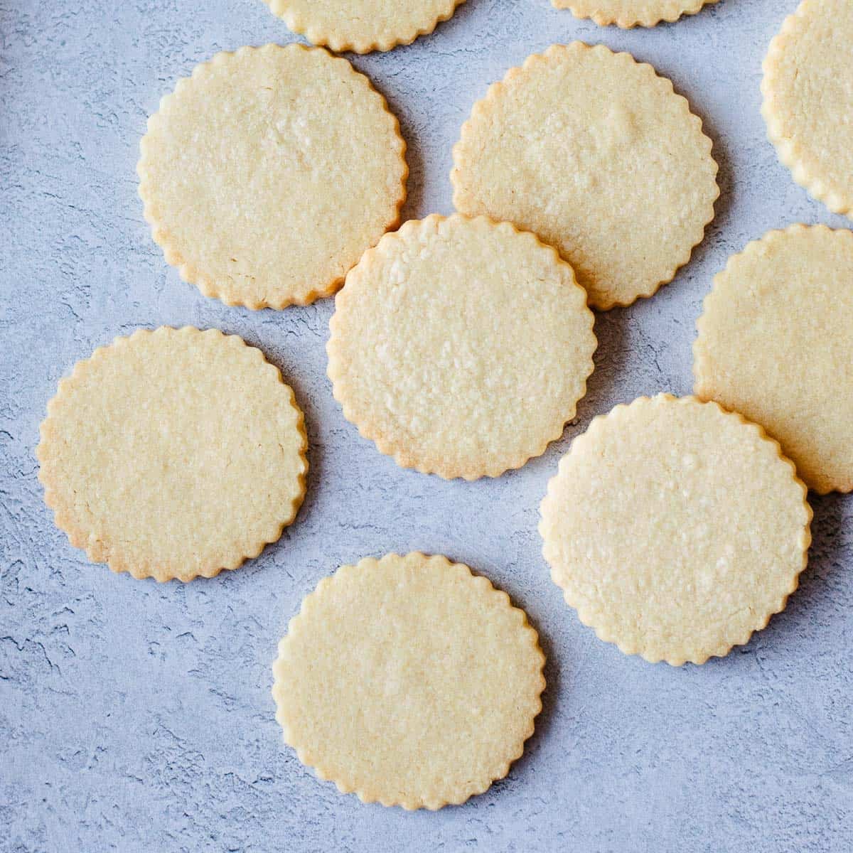 Overhead image of round cut out sugar cookies on a grey background.