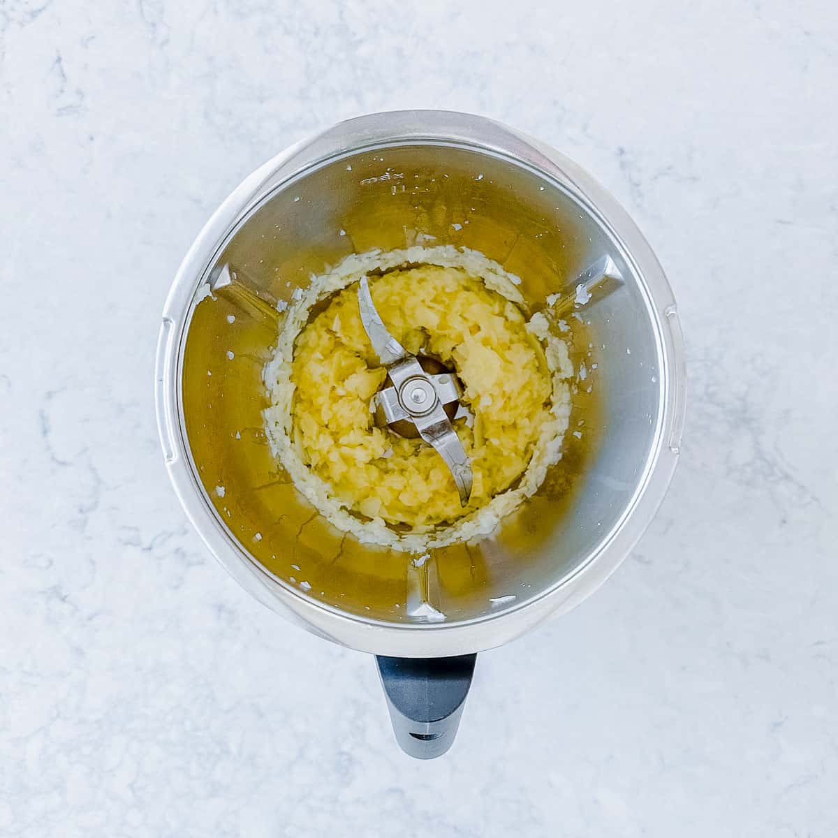 Onions and garlic in a Thermomix Bowl. 