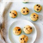 Chocolate Chip Muffins